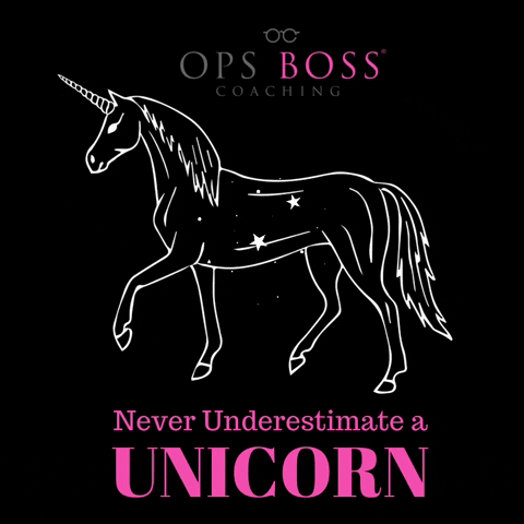 Unicorn GIF by Ops Boss® Coaching