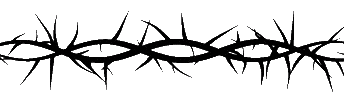 Barbed Wire 3D Sticker by toomanynadias