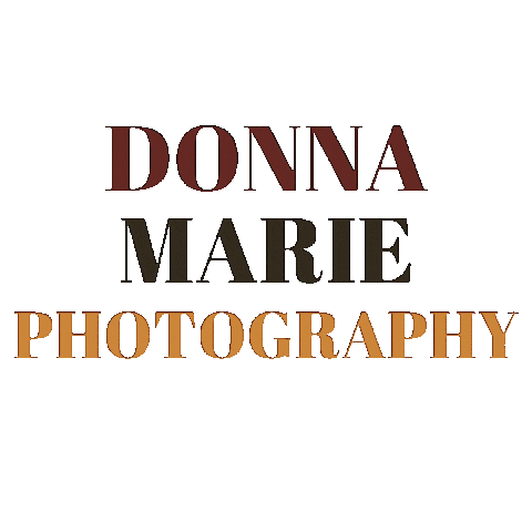 Donna Marie Photography Sticker
