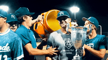 Area Code Baseball GIF