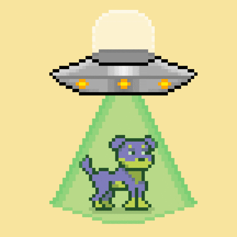 Beam Me Up Wtf GIF by Doginal Dogs