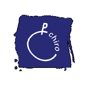 Logo Sticker by Chiro