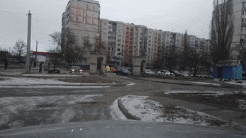 Dgf GIF