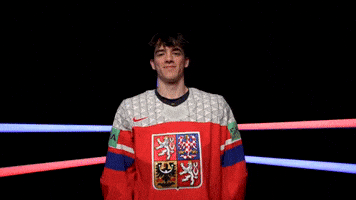 Český hokej GIF