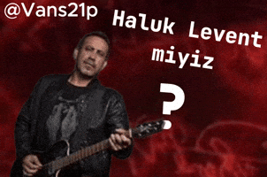 Vans21P GIF