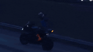 Chasesociety GIF