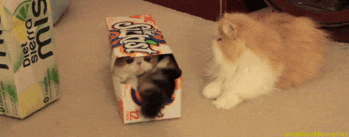 go away no GIF