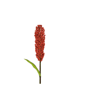 Sorgo Igrowth Sticker by Advanta Semillas Argentina