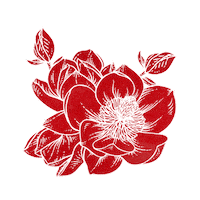 200w.gif?cid=ecf05e47dbkffurp3lke0bbbgl1