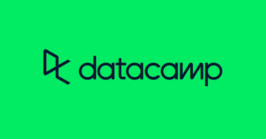 DataCamp datacamp GIF