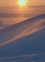 200.gif?cid=fc005b085c342a6274dcc1324ed94efb10a296ac8a39cfc5&rid=200.gif&ct=g