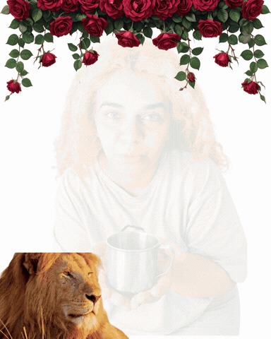 Me Segue GIF