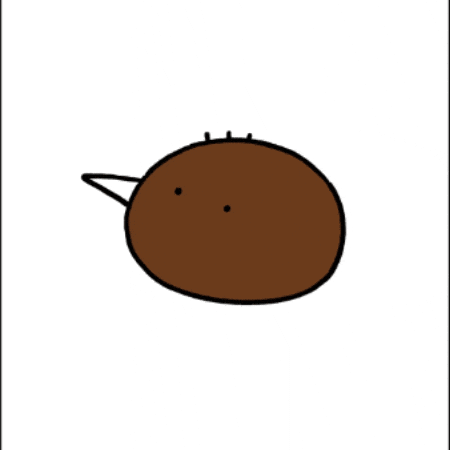 Kiwibird GIF