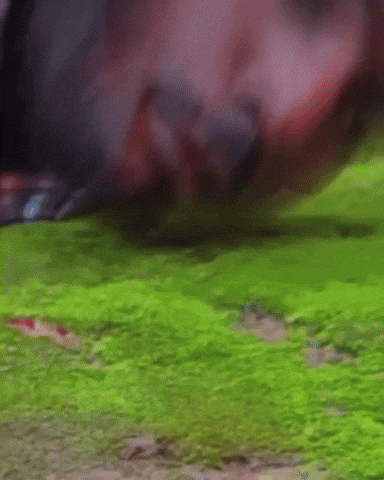 Blood Acting GIF