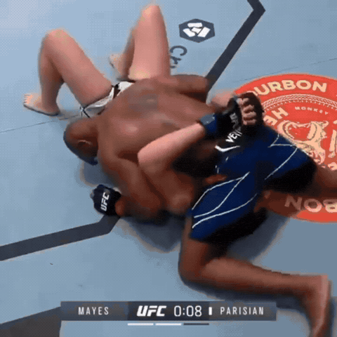 Donald Trump Ufc GIF