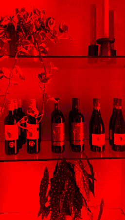 GIF by Blad en Beton