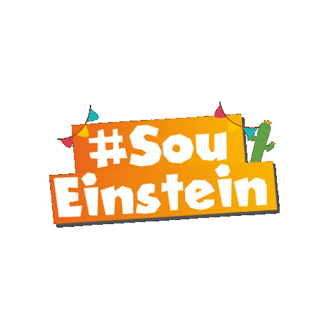 Festajunina Sticker by Colégio A. Einstein