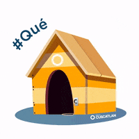 Stay Home GIF by Banco CUSCATLAN