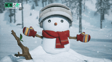 NEWSTATEMOBILE smile winter snowman newstate GIF