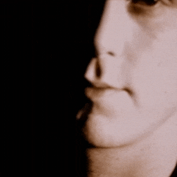 Suede GIF