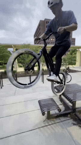Mountain Bike GIF