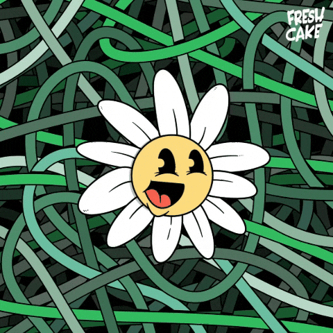 Happy Good Vibes GIF by Fresh Cake