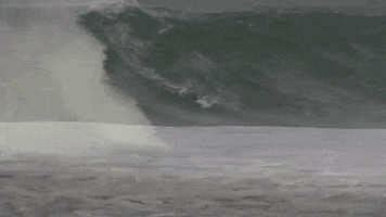 aliklinkenberg  GIF