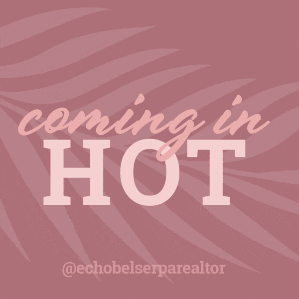 Echo Belser GIF