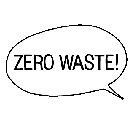 Ballon Zerowaste Sticker by Fruitslagers