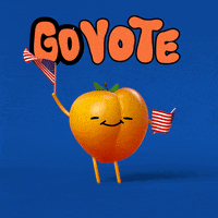 Senate Race Election GIF by #GoVote