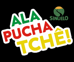 Ala Pucha Tchê Sinuelo GIF by Sinuelo Agrícola