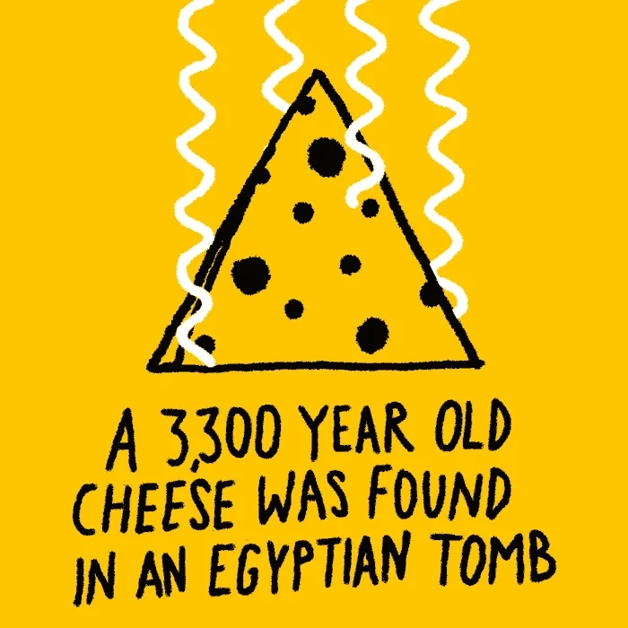 cheese omg GIF by Learn Something Every Day