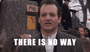 bill murray winter GIF