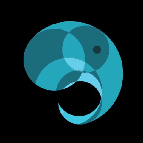 Dramblys elephant dramblys dramblys elephant dramblys logo GIF