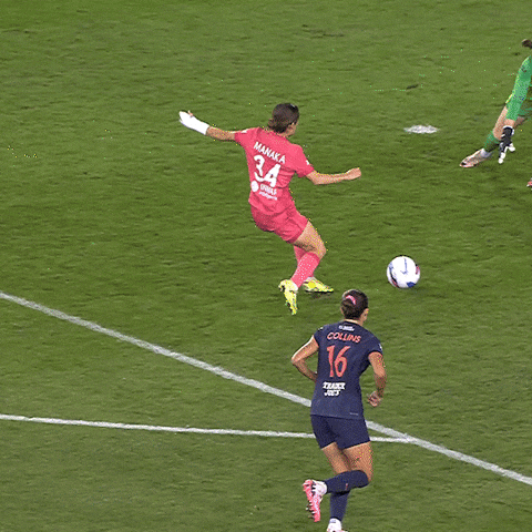 North Carolina GIF by National Women's Soccer League