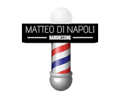 matteodinapoliit Sticker