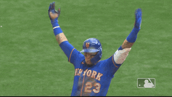 Ny Mets Taunting GIF by New York Mets