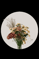 200.gif?cid=fc005b08c0774d4f45f71cd2e9cb2269068c1fd58e4f5510&rid=200.gif&ct=g