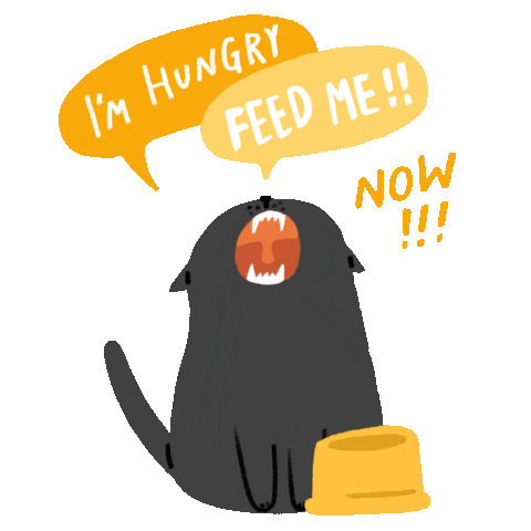 Cat Sticker