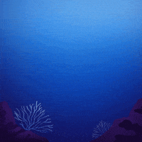 Worldoceansday Gifs Get The Best Gif On Giphy Worldoceansday Gifs Get The Best Gif On Giphy