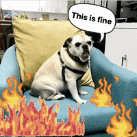 This Is Fine On Fire GIF by phlywheel