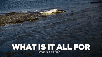 wander film water flowers ireland GIF