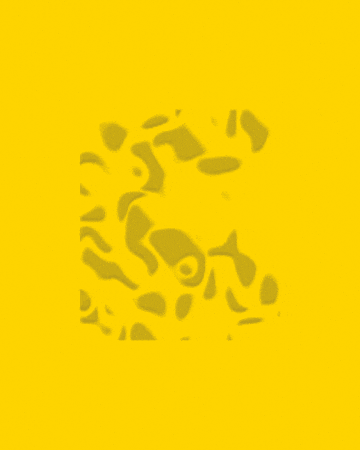 Coleg Cymraeg Cenedlaethol GIF