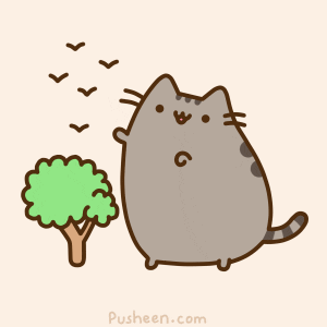Sun is finally out (ノ◕ヮ◕)ノ*.✧