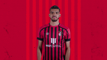 Celebrating Fix Up Look Sharp GIF by AFC Bournemouth