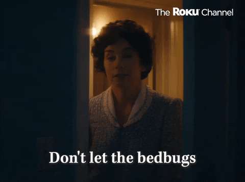 bedbugs meme gif