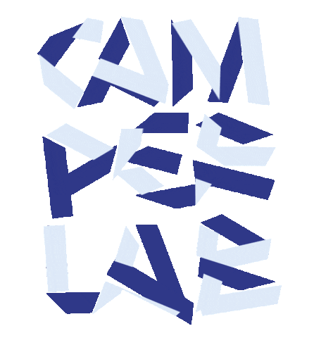 Logo Shoes Sticker by Camper