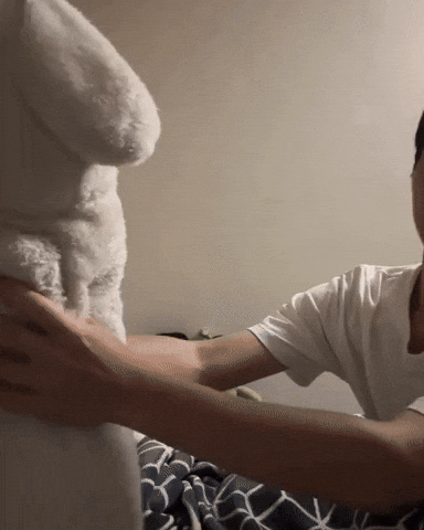 Dog Puppy GIF