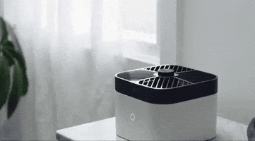 Amazon GIF