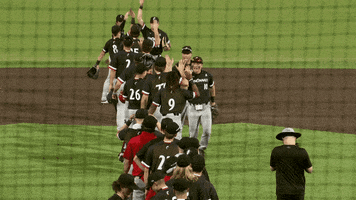 College Baseball Win GIF by Cincinnati Bearcats